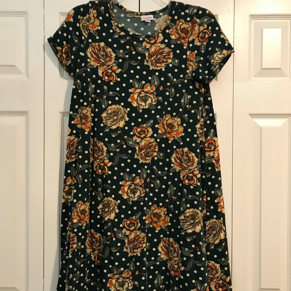 M TShirt material LuLaroe Carly Dress
